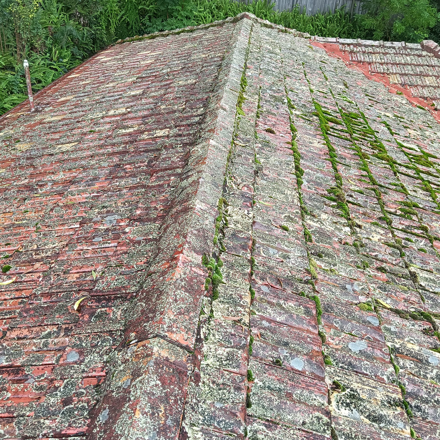 Moss-covered terracotta tile roof on a Lake Macquarie home before roof restoration