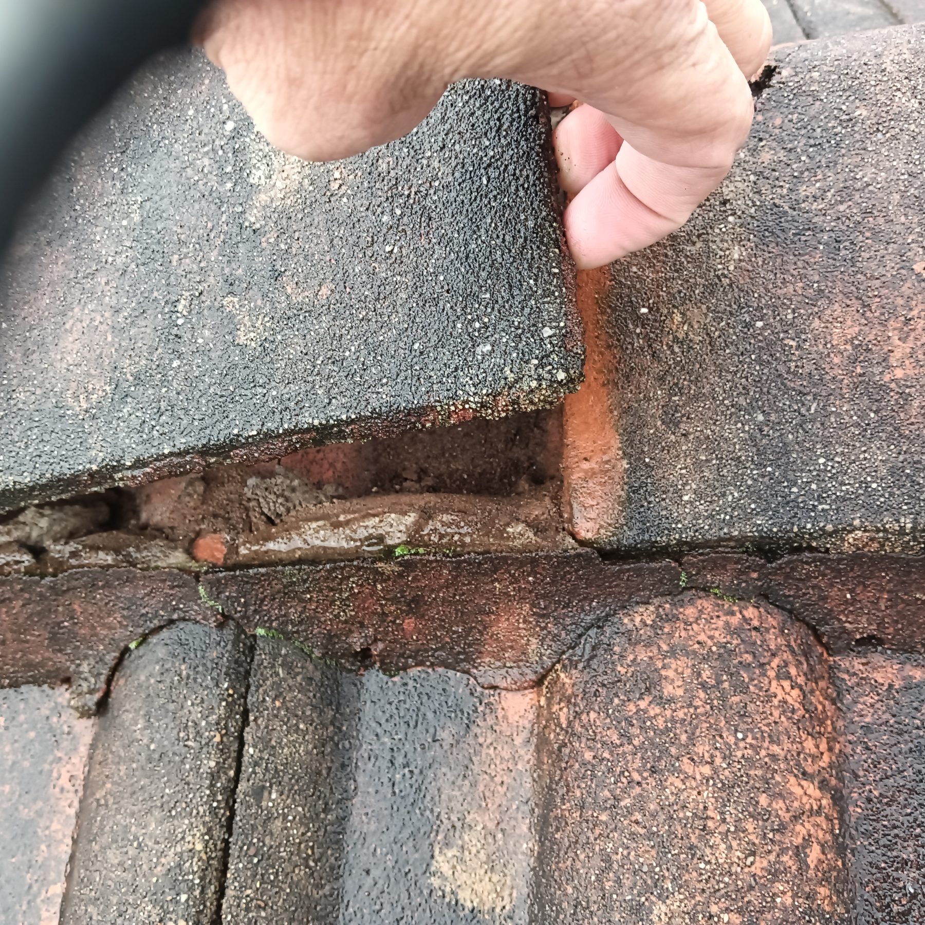 Lifted roof tile showing the entry point of a leak on a Lake Macquarie roof